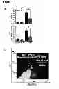 Fig. 16 - Methods for organ regeneration