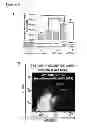 Fig. 17 - Methods for organ regeneration