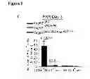 Fig. 27 - Methods for organ regeneration