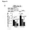 Fig. 30 - Methods for organ regeneration