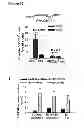Fig. 45 - Methods for organ regeneration