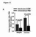 Fig. 46 - Methods for organ regeneration