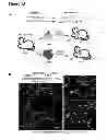 Fig. 47 - Methods for organ regeneration