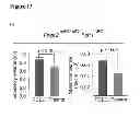Fig. 50 - Methods for organ regeneration