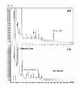 Fig. 02 - Composition for preventing or treating atopic dermatitis including galenical extract or lactobacillus fermentation thereof