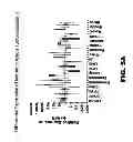 Fig. 08 - NOTUM PROTEIN MODULATORS AND METHODS OF USE