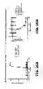 Fig. 43 - NOTUM PROTEIN MODULATORS AND METHODS OF USE