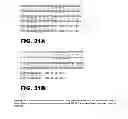 Fig. 49 - NOTUM PROTEIN MODULATORS AND METHODS OF USE