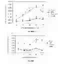 Fig. 07 - CYCLIC TETRAPEPTIDES AND THERAPEUTIC APPLICATIONS THEREOF