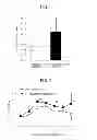 Fig. 02 - Intestine immunomodulator