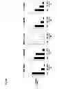 Fig. 09 - Non-replicating probiotic micro-organisms protect against upper respiratory tract infections