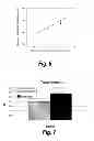 Fig. 07 - Tissue scaffolds derived from forestomach extracellular matrix