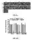 Fig. 30 - ENVIRONMENTALLY-RESPONSIVE NANOCOMPOSITES AND METHODS OF THEIR USE
