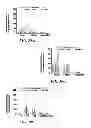 Fig. 32 - ENVIRONMENTALLY-RESPONSIVE NANOCOMPOSITES AND METHODS OF THEIR USE