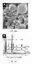 Fig. 43 - ENVIRONMENTALLY-RESPONSIVE NANOCOMPOSITES AND METHODS OF THEIR USE