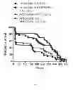 Fig. 02 - METHOD AND COMPOSITION FOR AMELIORATING THE EFFECTS FOR A SUBJECT EXPOSED TO RADIATION OR OTHER SOURCES OF OXIDATIVE STRESS