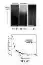Fig. 07 - Multistage Nanoparticles