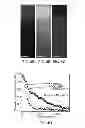 Fig. 08 - Multistage Nanoparticles