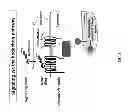 Fig. 02 - Methods and compositions for the treatment of cancer