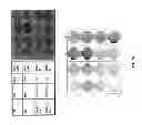Fig. 32 - Methods and compositions for the treatment of cancer