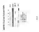 Fig. 67 - Methods and compositions for the treatment of cancer