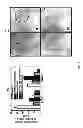 Fig. 99 - Methods and compositions for the treatment of cancer