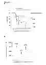 Fig. 06 - Cancer therapy method