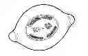Fig. 01 - FRUIT MARKING PROCEDURE