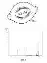Fig. 02 - FRUIT MARKING PROCEDURE