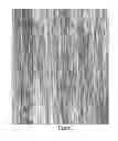Fig. 35 - Method of manufacturing electrodes using carbon nanotube sheets