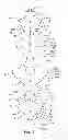 Fig. 02 - Decorative ornament