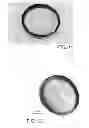 Fig. 10 - Additive manufacturing method for building three-dimensional objects with core-shell arrangements