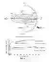 Fig. 02 - 