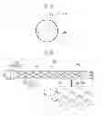 Fig. 07 - Cylindrical secondary battery