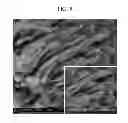 Fig. 06 - NEGATIVE ACTIVE MATERIAL FOR RECHARGEABLE LITHIUM BATTERY, METHOD OF PREPARING THE SAME, AND RECHARGEABLE LITHIUM BATTERY INCLUDING THE SAME