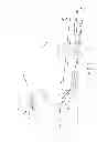Fig. 02 - Solid fuel skewer suspension burning system