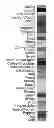 Fig. 01 - SYSTEM AND METHOD FOR PROVIDING FLAVOR ADVISEMENT AND ENHANCEMENT