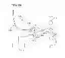 Fig. 49 - Methods for processing sperm cells
