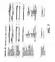 Fig. 08 - Detection of nucleic acid sequence differences using coupled ligase detection and polymerase chain reactions