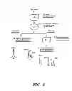 Fig. 09 - Detection of nucleic acid sequence differences using coupled ligase detection and polymerase chain reactions