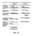 Fig. 22 - Detection of nucleic acid sequence differences using coupled ligase detection and polymerase chain reactions
