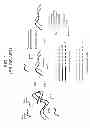 Fig. 02 - COMPOSITION AND METHOD FOR SEQUENCING NUCLEIC ACID