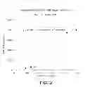 Fig. 03 - METHOD FOR EARLY DETERMINATION OF RECURRENCE AFTER THERAPY FOR PROSTATE CANCER