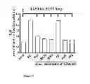 Fig. 07 - METHOD FOR THE SELECTION OF COMPOUNDS USEFUL FOR THE TREATMENT OF PSYCHIATRIC AND NEURODEGENERATIVE DISEASES
