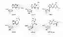 Fig. 01 - METHOD FOR DETECTING DNA ADDUCTS IN SALIVA