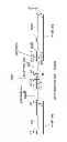 Fig. 02 - INDUCED SPORULATION SCREENING METHOD