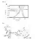 Fig. 09 - Zinc-responsive peptides, and methods of use thereof