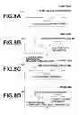 Fig. 06 - IMMUNOCHROMATOGRAPHIC ASSAY METHOD AND APPARATUS