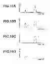Fig. 08 - IMMUNOCHROMATOGRAPHIC ASSAY METHOD AND APPARATUS