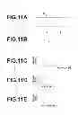 Fig. 09 - IMMUNOCHROMATOGRAPHIC ASSAY METHOD AND APPARATUS